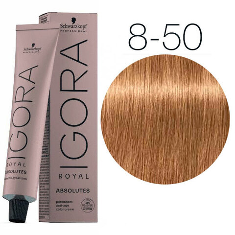 Schwarzkopf Igora Absolutes 8-50 (Светлый русый золотистый натуральный) - Стойкая крем-краска для окрашивания зрелых волос