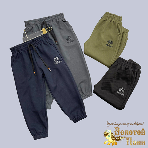 Брюки спортивные м (1-5) 250109-RT1055