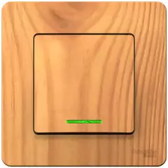 ПЕРЕКЛ.1-кл.С/У, 10А 250B, ЯСЕНЬ BLNVS010605