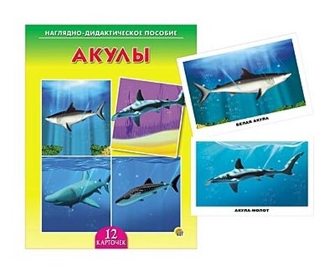 ДИД. ПОСОБИЕ. АКУЛЫ
