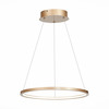 Светильник подвесной ST Luce ST603.243.22