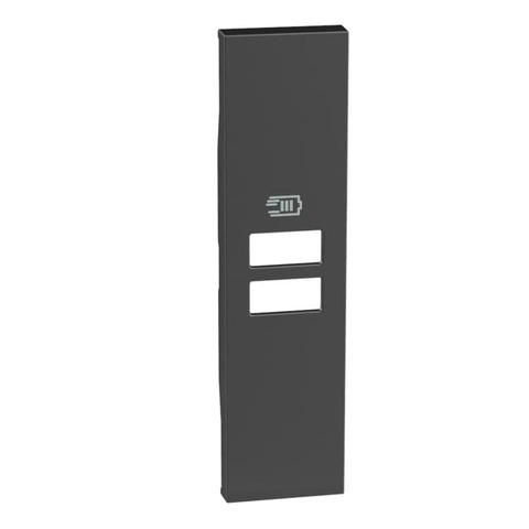 Лицевая панель двойной USB зарядки 1 модуль. Цвет Чёрный. Bticino серия Living Now. KG13C