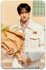 Карта / STRAY KIDS #3281