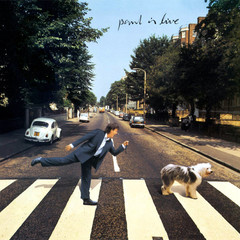 Paul McCartney / Paul Is Live (2LP)