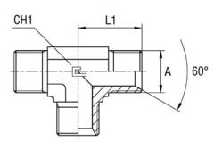 Соединение PT BSP 3/4" CAST