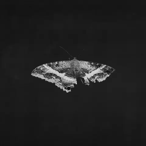 Виниловая пластинка. Kendrick Lamar - To Pimp A Butterfly (10th Anniversary)