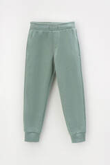 брюки  для мальчика  КР 400612/полынь к424