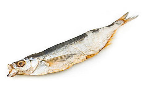 Чем уникальна рыба чехонь: вкусный рецептик к празднику