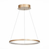 Светильник подвесной ST Luce ST603.243.22
