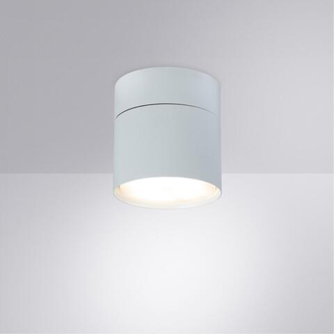 Накладной светильник Arte Lamp INTERCRUS A5549PL-1WH