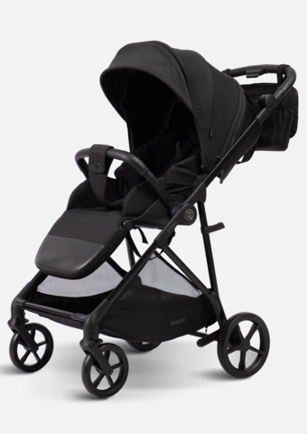 Peppy Коляска прогулочная Amici (Grey) рама Black Chrome (LX)