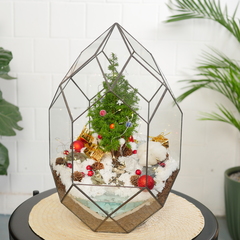 Готовый новогодний флорариум с елью Цефей