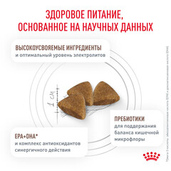 Royal Canin Gastro Intestinal корм для кошек при лечении ЖКТ 350г