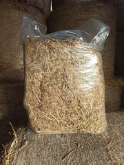 Солома ячменная прессованная в пакете 10 кг