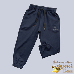 Брюки спортивные м (1-5) 250109-RT1056