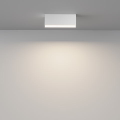 Накладной светодиодный светильник Maytoni Basis C068CL-12W3-6K-W