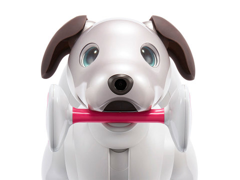 Робот Aibo