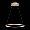 Светильник подвесной ST Luce ST603.243.22