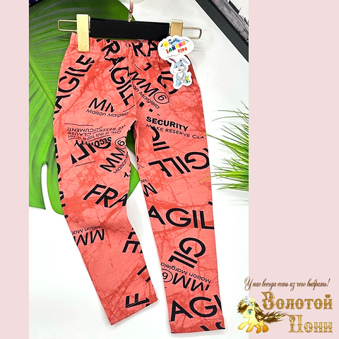 Леггинсы хлопок (3-7) 250411-RW6039