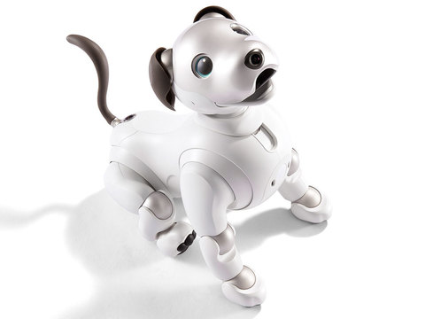 Робот Aibo