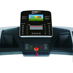 Электрическая беговая дорожка Everyfit KD150D-B12