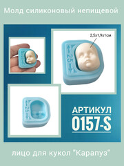 0157-S Молд силиконовый непищевой 