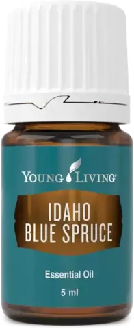 Young Living. Голубая Ель Айдахо (Idaho Blue Spruce) – 5 ml