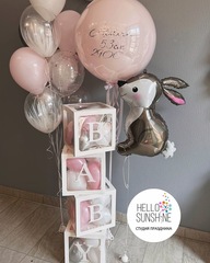 Набор шаров на Выписку №16