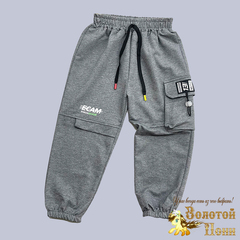 Брюки спортивные м (3-7) 250109-RT1057