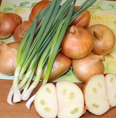 Лук-севок Погарский местный улучшенный, многозачатковый, многогнездный, (15,1-22), 250 гр