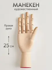 Манекен художественный для рисования и творчества рука человека 25 см правая, деревянная