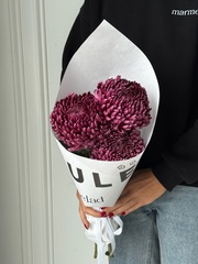 Кулек из одноголовой хризантемы сливового оттенка