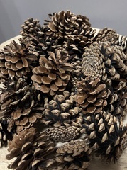 Шишки в ассортименте