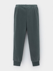 брюки  для мальчика  ФЛ 40006-1/10 ГР