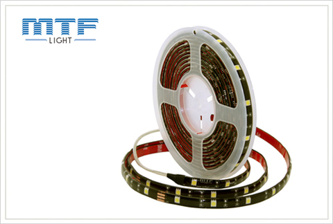 Гибкая светодиодная лента MTF Light 5M2A155BW 5м (бухта) (белый 5000К)