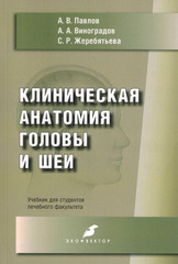 Клиническая анатомия головы и шеи