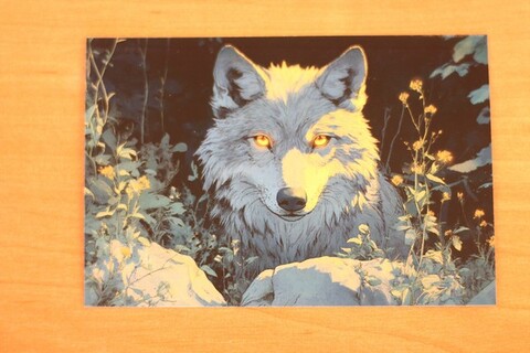 Тайны ночного леса