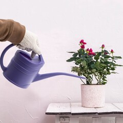 64-0-201 Лейка пластиковая, 1,3л Россия