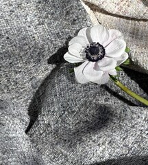 Шенилл Malta / Мальта