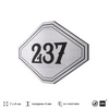 Номерок на дверь квартиры 237, для кабинета, офиса, шильдик 9 х 7 см, серебристый, Айдентика Технолоджи