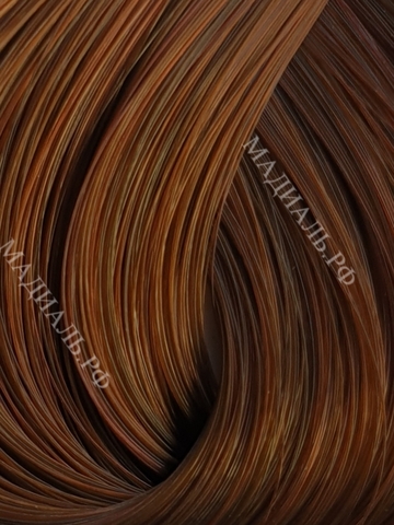 Schwarzkopf  IGORA ROYAL  Absolute 6-70 Темный русый медный натуральный 60 мл