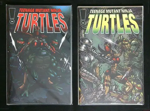 Teenage Mutant Ninja Turtles Vol.3 #24-25 (Unofficial Ending)