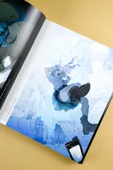 Pone. Иллюстрации Поски Дэмидзу