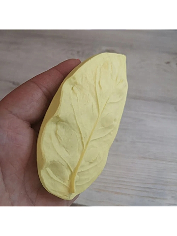 Молды 