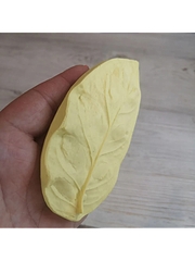 Молды 