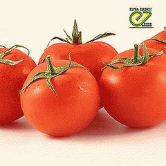 Айваз 331 F1 семена томата детерминантного (Enza Zaden / Энза Заден)