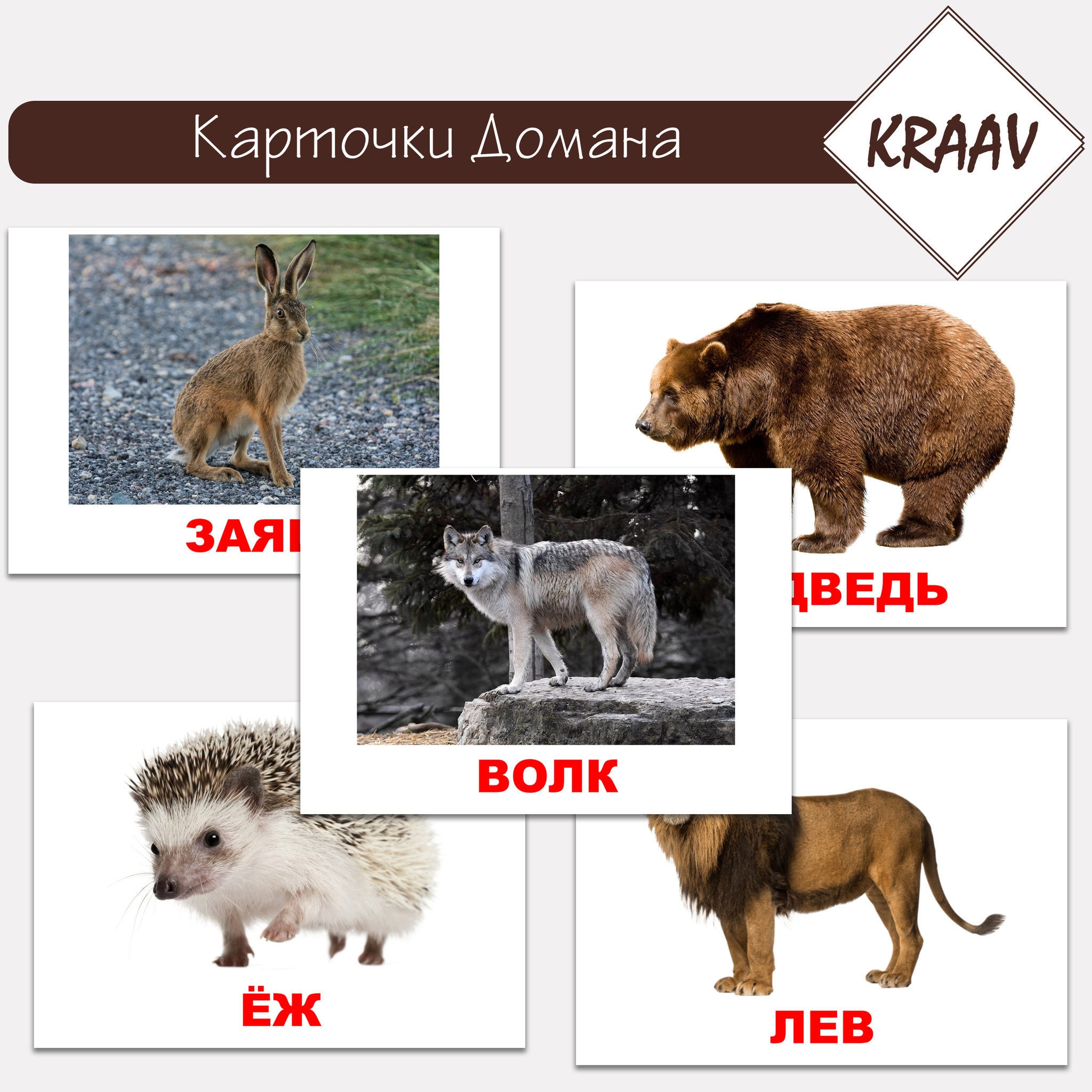 карточки домана дикие животные для детей. карточки домана дикие животные. домана. гленн доман карточки дикие животные. карточки домана морские животные.