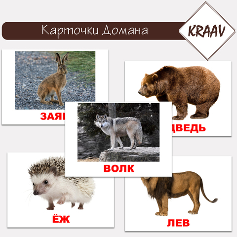 Карточки Домана "Дикие животные"