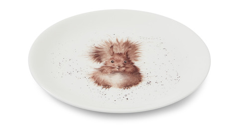 Тарелка закусочная 20см Royal Worcester Забавная фауна Белка