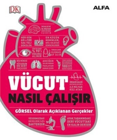 Vücut Nasıl Çalışır?